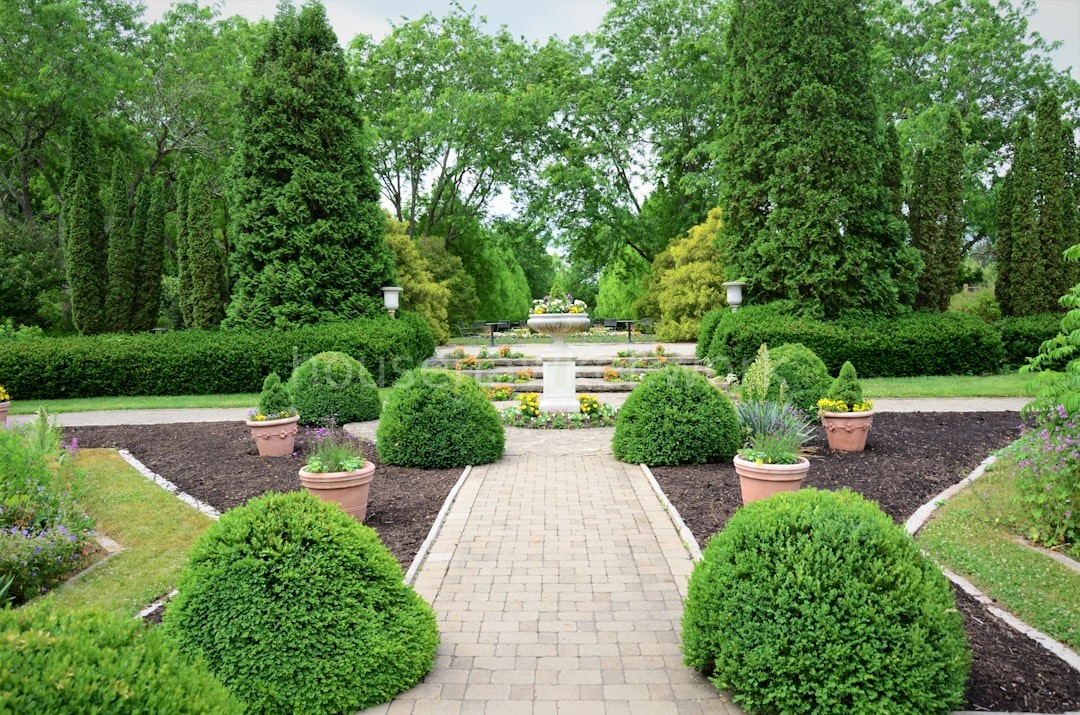 Lawn Care