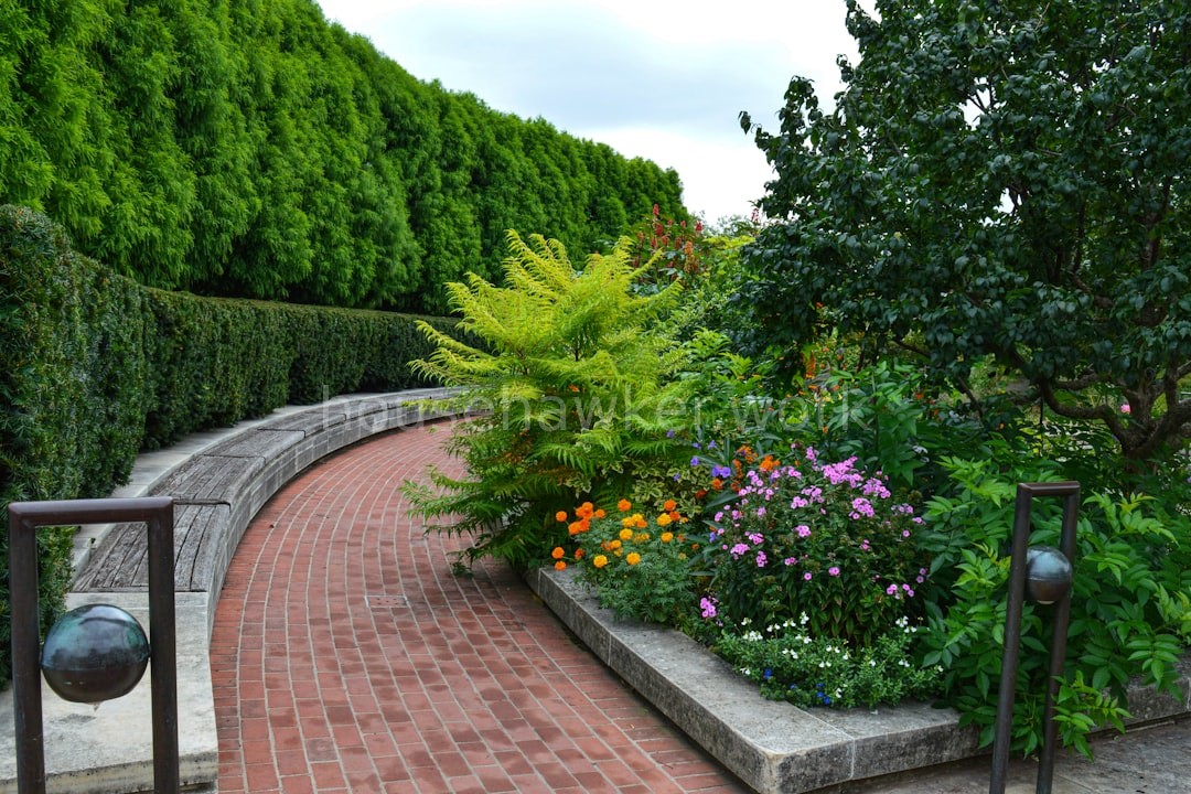 Luxury Landscape